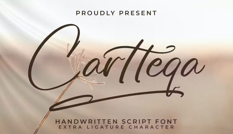 Cartteqa Font