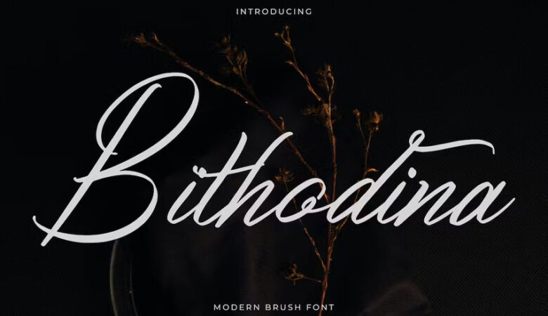 Bithodina Font