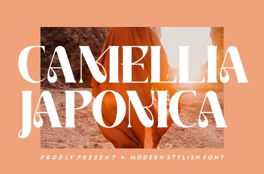 Camellia Japonica Font