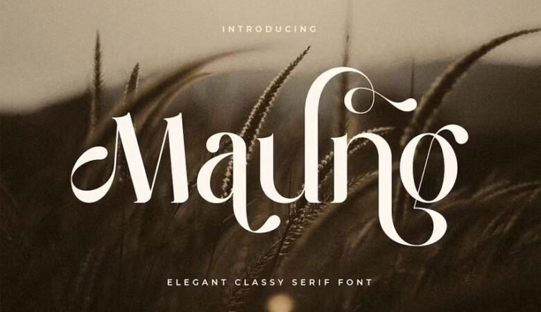 Maung Font