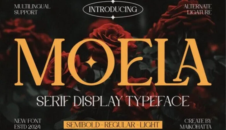 Moela Font