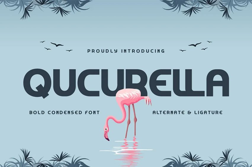 Qucurella Font