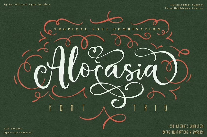 Alocasia-Trio Font