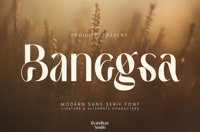 Banegsa Luxury Font