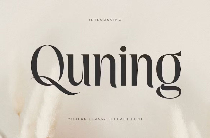 Quning Font