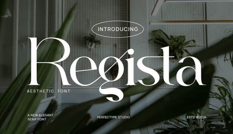 Regista Font