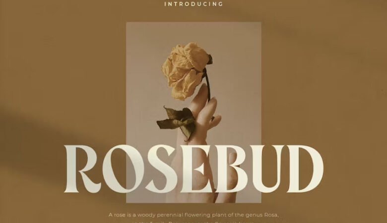 Rosebud Font