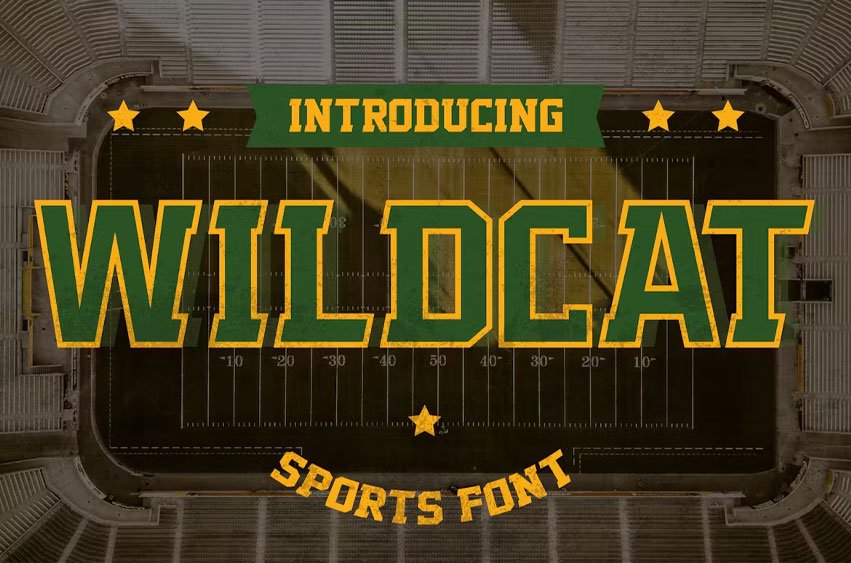 Wildcat Font