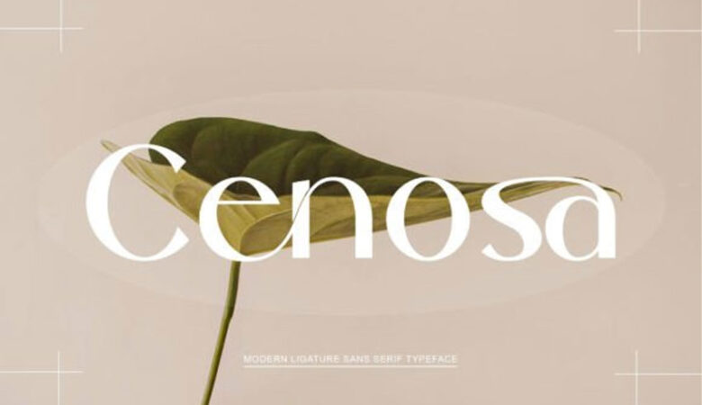 Cenosa Font