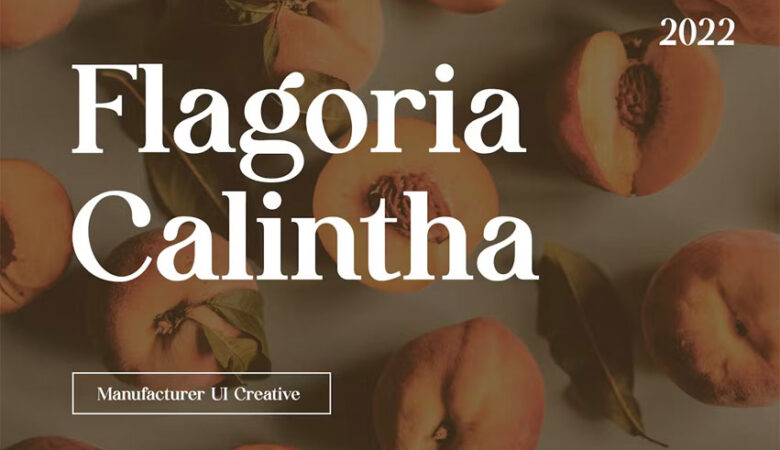 Flagoria Caintha Font