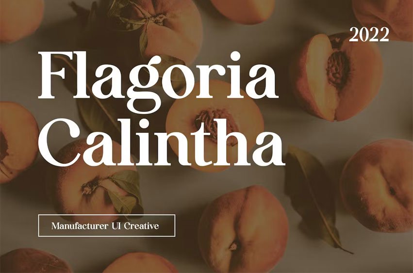 Flagoria Caintha Font
