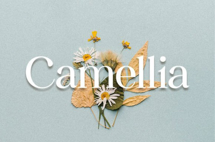 Camellia Font