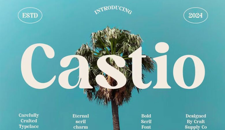 Castio Font