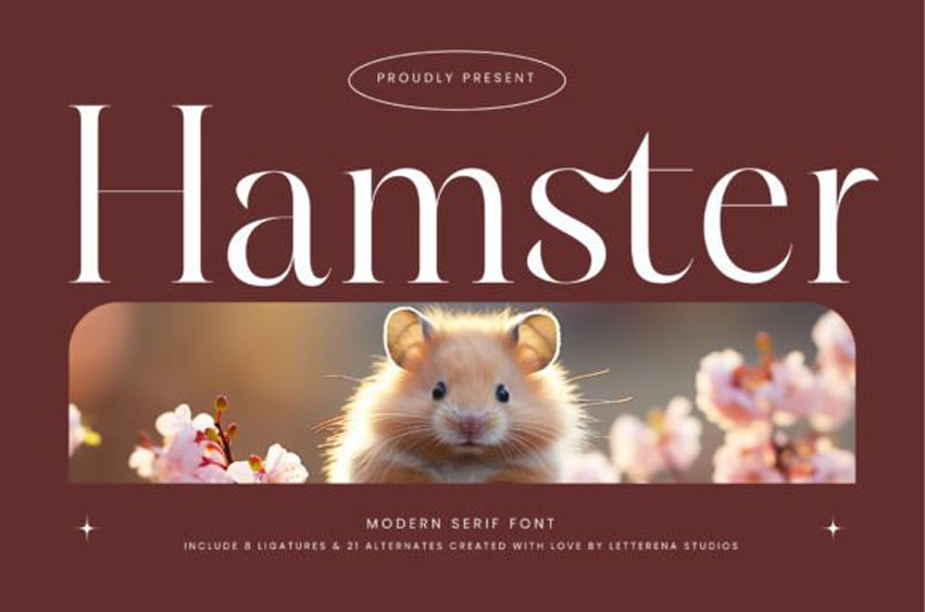 Hamster Font