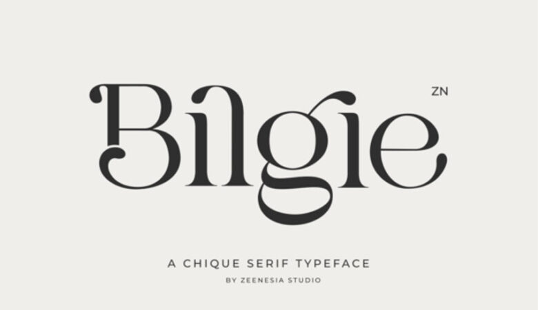 Bilgie Font