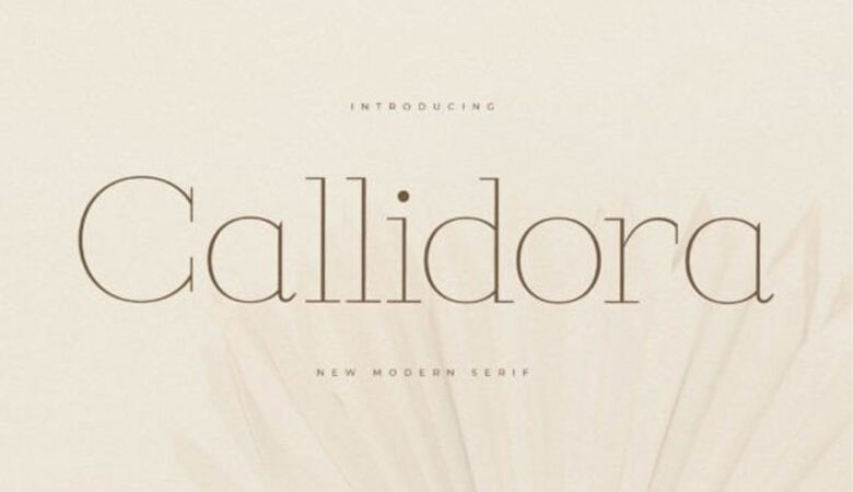 Callidora Font