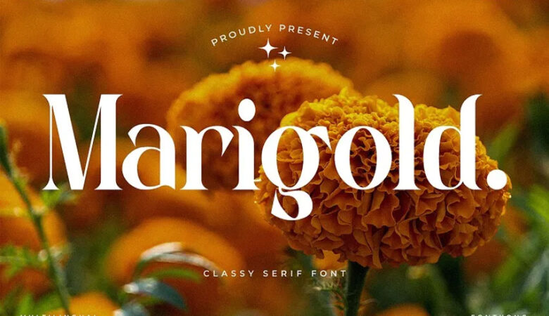 Marigold Font
