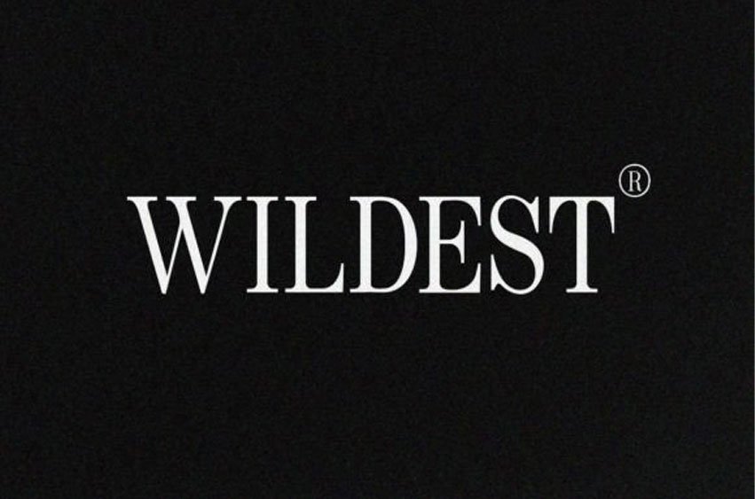 Wildest Font