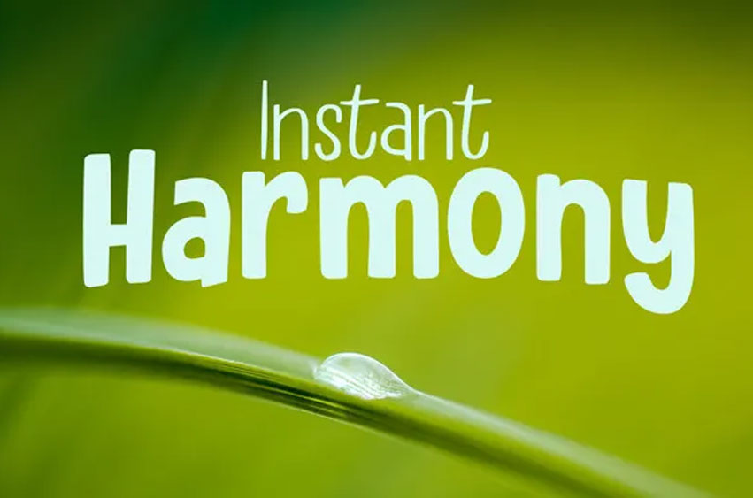 Instant Harmony Font