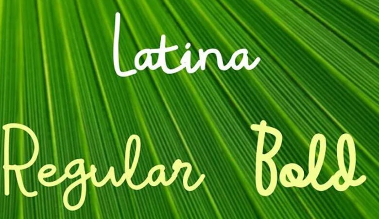 Latina Font