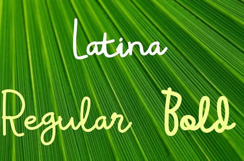 Latina Font