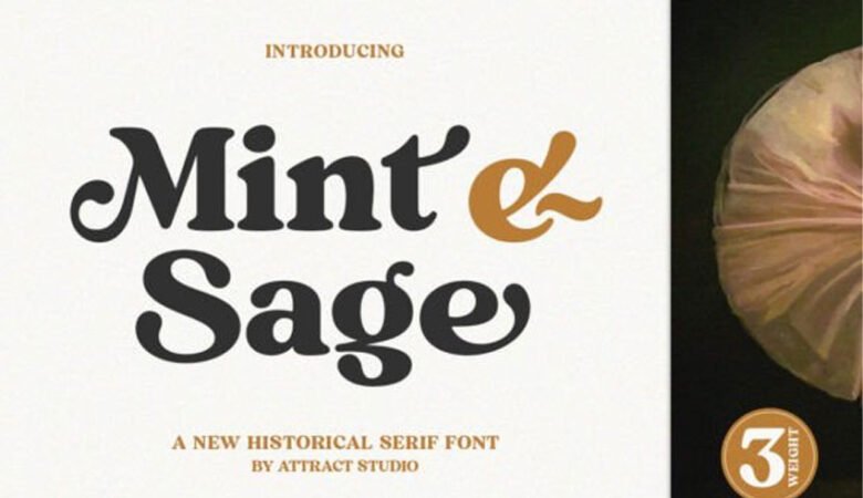 Mint and Sage Font