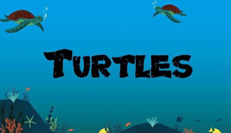 Turtles Font