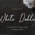 White Dahlia Font