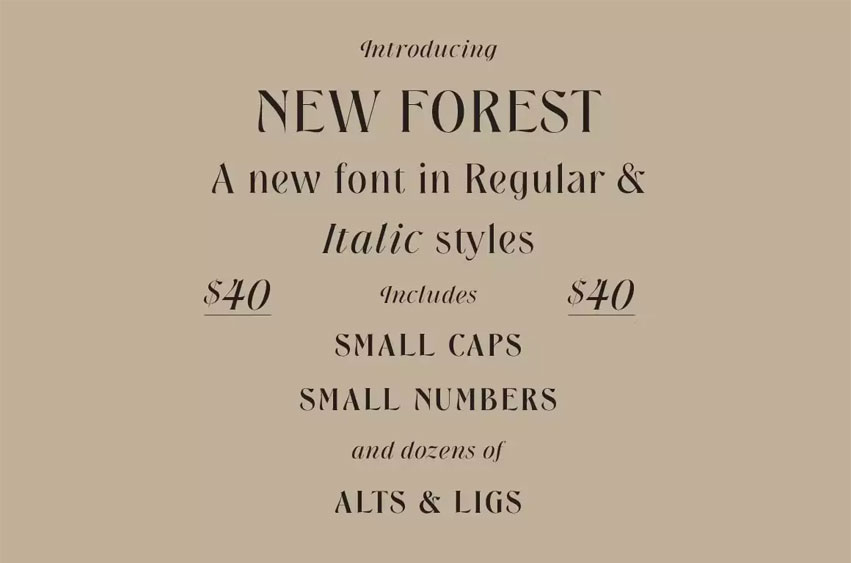 New Forest Font