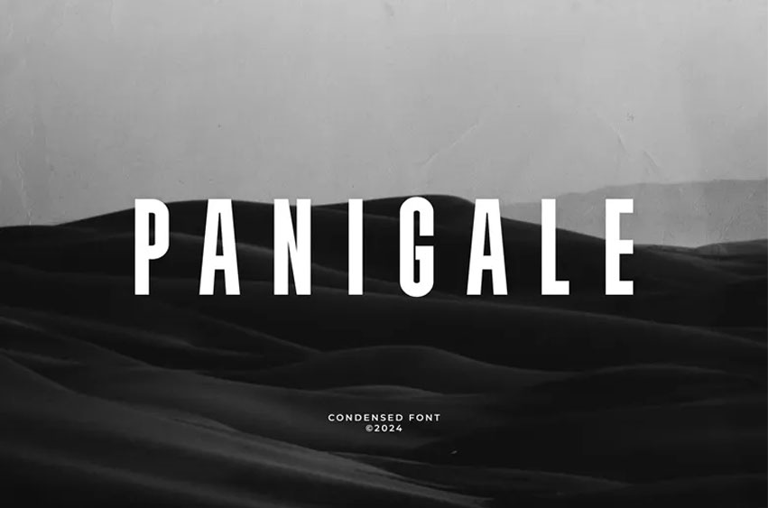 Panigale Font