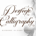 Perfecto Calligraphy Font