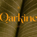 Qarkine Font