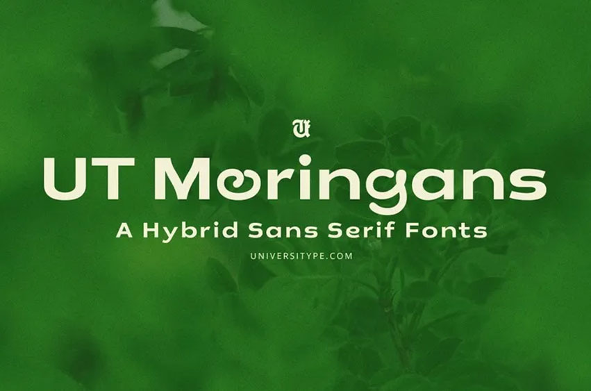 UT Moringans Font