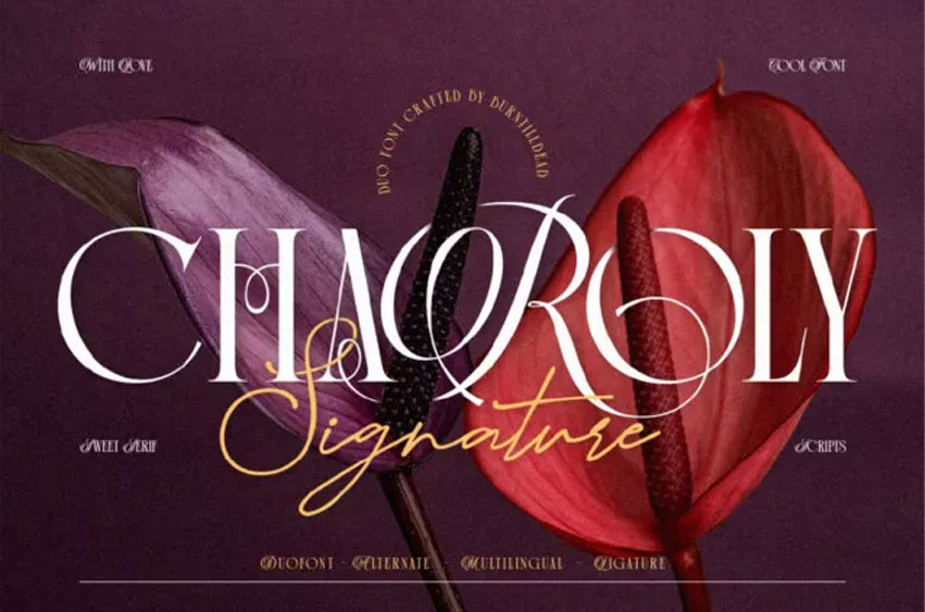 Charoly Signature Font