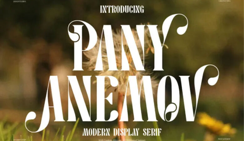 Pany Anemov Font