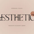 Aesthetic Font