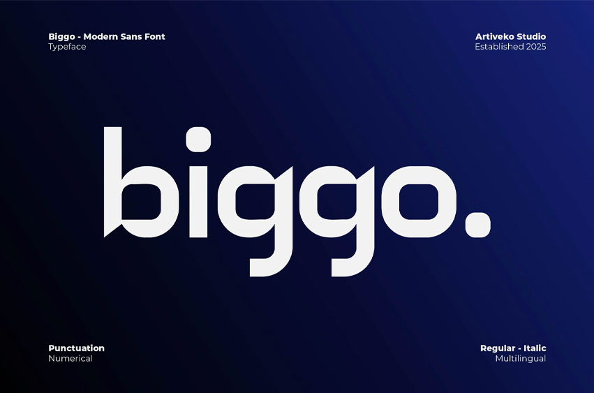 Biggo Font