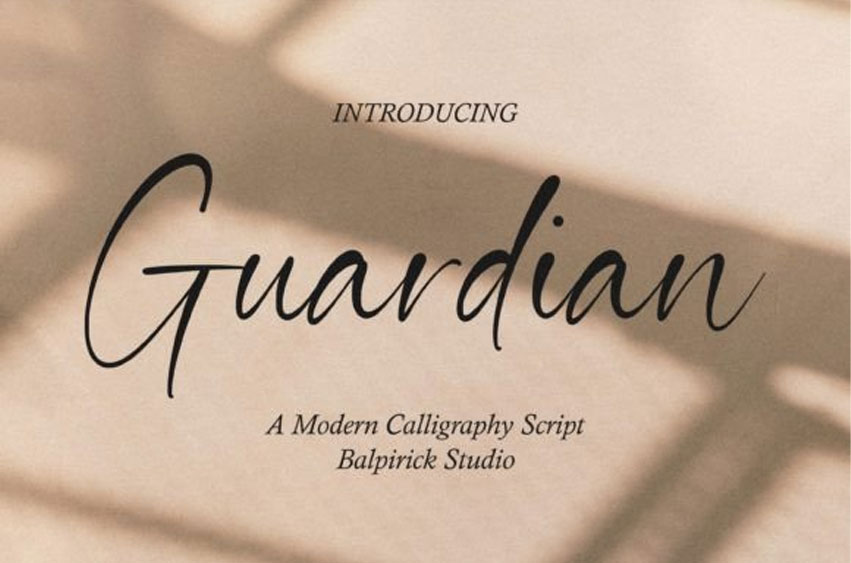 Guardian Font