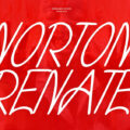 Norton Renate Font