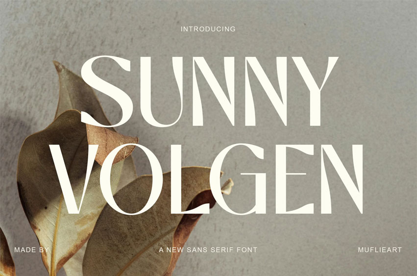 Sunny Volgen Font