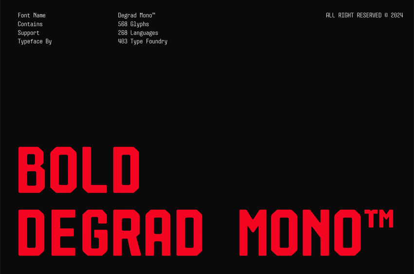 Bold Degrad Mono Font