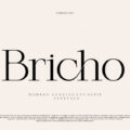 Bricho Font