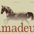 Amadeus Font