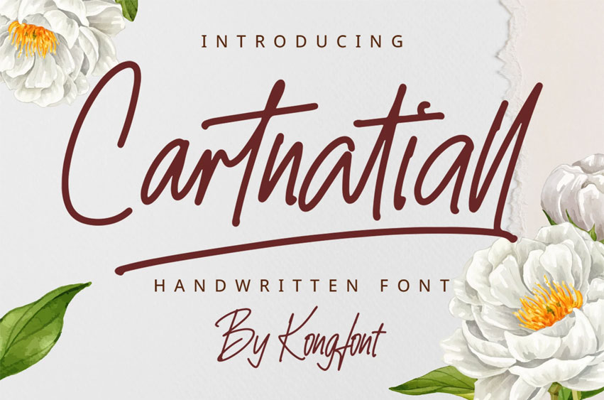 Cartnatiall Font