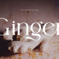 Ginger Elegant Font