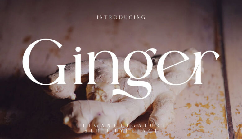 Ginger Elegant Font