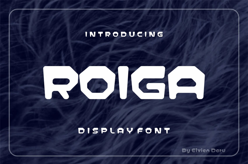 Roiga Font