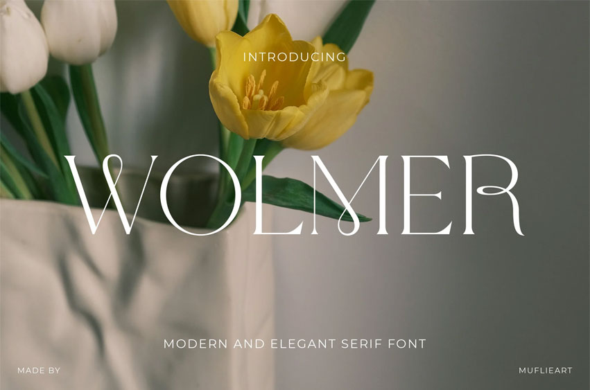 Wolmer Font
