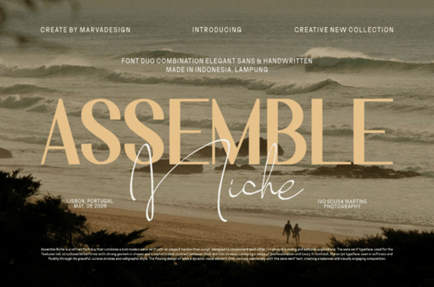 Assemble Niche Font