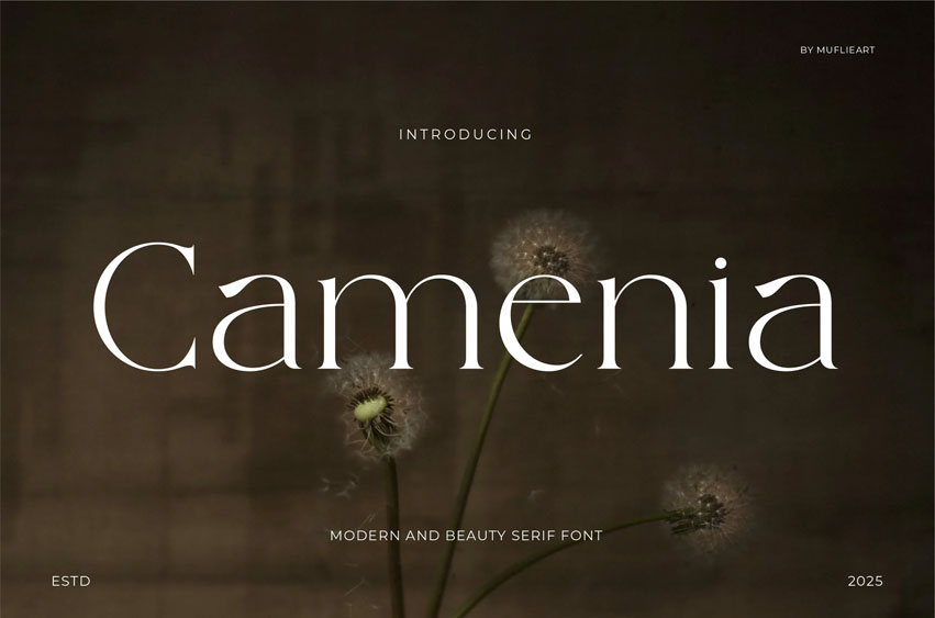 Camenia Font